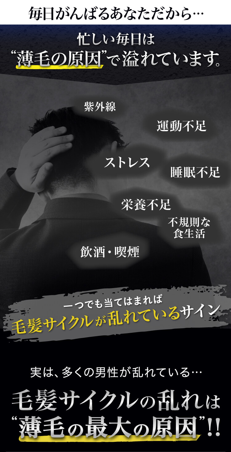 忙しい毎日は薄毛の原因で溢れています